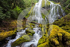 Proxy falls in Oregon forest
