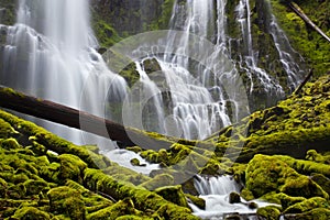 Proxy Falls in Oregon with mossy rocks and logs