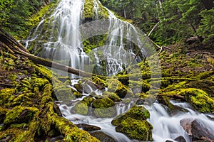 Proxy Falls trail in Oregon national forest