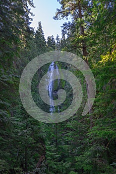 Proxy Falls in Willamette Forest, Oregon