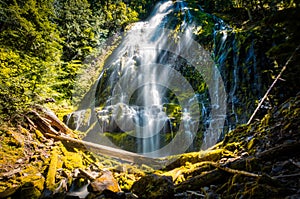 Proxy Falls, Willamette National Forest, Oregon