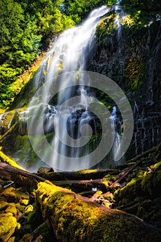 Proxy Falls, Willamette National Forest, Oregon