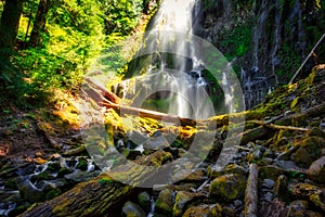 Proxy Falls, Willamette National Forest, Oregon