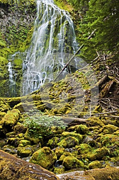 Proxy waterfall cascading over mossy rocks