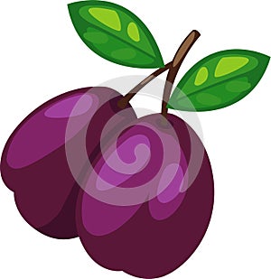 Prune vector