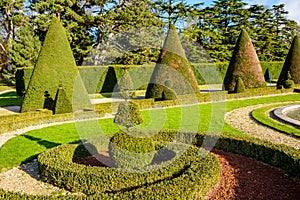 Pruned boxwood and yew trees in a french formal garden