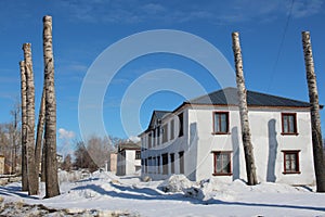 Pruned tree trunks freaks at home in winter Russia photo