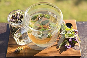 Prunella vulgaris known as common self-heal  heal-all  woundwort  heart-of-the-earth  carpenter`s herb  brownwort herbal tea.