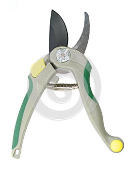 Pruner photo