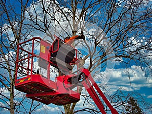 Pruner on cherry picker cutting tree in the air