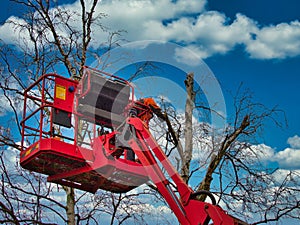 Pruner on cherry picker cutting tree in the air