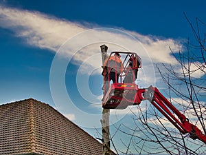 Pruner on cherry picker cutting tree in the air