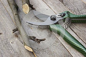 Pruner with plastic green handles on a wooden table. Sliced cuttings