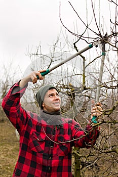 Pruning fruits