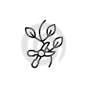 Pruning logo sign vector outline