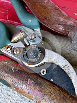 Pruning shears photo