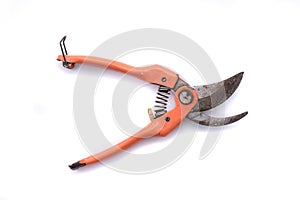 Pruning shears