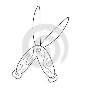 Pruning shears scissors, doodle outline icon, gardening tool for cutting and trimming bushes and plants, shears secateur