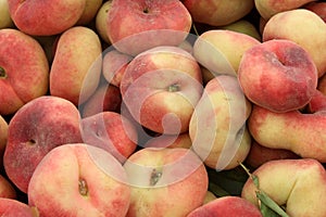 Prunus persica `Donut`, Doughnut or Saturn Peach, formerly P. persica var. platycarpa