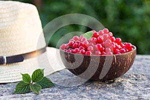 Prunus tomentosa or nanking cherry harvest in a cocnut bowl on a stone outdoors in summer. Countryside vacation concept