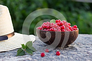 Prunus tomentosa or nanking cherry harvest in a cocnut bowl on a stone outdoors in summer. Countryside vacation concept