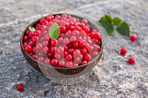 Prunus tomentosa or nanking cherry harvest in a cocnut bowl on a stone outdoors in summer. Countryside vacation concept