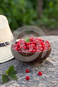 Prunus tomentosa or nanking cherry harvest in a cocnut bowl on a stone outdoors in summer. Countryside vacation concept