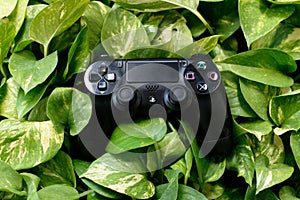 PS4 dualshock 4 controller kept on leaves