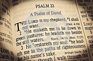 Psalm 23 - The Lord is my Shepherd