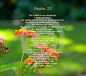 Psalm 23 Verse With Pretty Lantana flowers In Background
