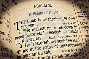 Psalm 23 - The Lord is my Shepherd photo