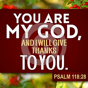 Thanksgiving Psalm 118:28 photo