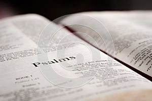 Psalms page photo