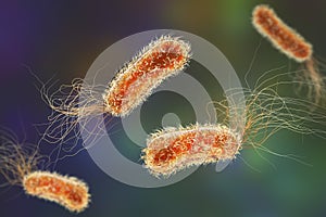 Pseudomonas aeruginosa bacteria, 3D illustration