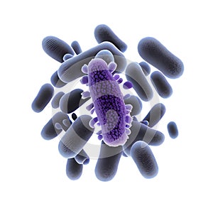 pseudomonas aeruginosa bacteria rod-shaped purple bacteria. Pathogenic microflora biologically isolated on white background,