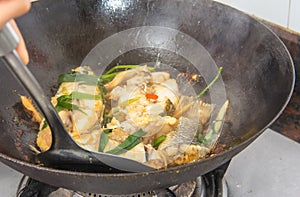 Pseudosciaena crocea