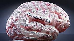 Pseudoscience and a human brain