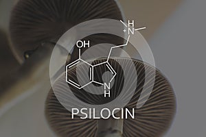 Psilocin formula. Legalization Medical psychedelic. Medical psilocybin and psilocin on the health of Mental health photo