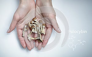 Psilocybin mushrooms in hands on white background with formula. Isolated layout. Psychotropic therapy photo