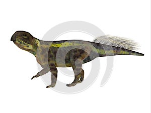 Psittacosaurus Dinosaur Side Profile