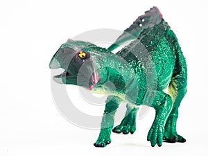 Psittacosaurus Dinosaur on white background