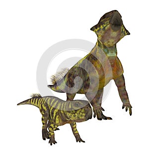 Psittacosaurus Dinosaurs on White