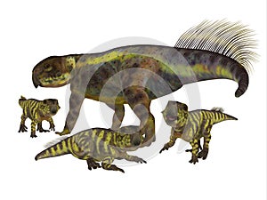Psittacosaurus Mother with Offspring