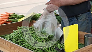 Psophocarpus tetragonolobus, organic princess bean in Thai street market.