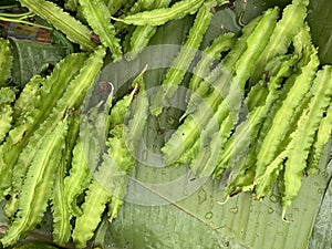 Psophocarpus tetragonolobus, Winged Bean on banana leaves