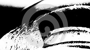 Psychedelic abstract formed by light interference on the surface of a soap bubble. Black and white