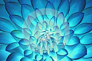 Psychedelic blue flower abstract