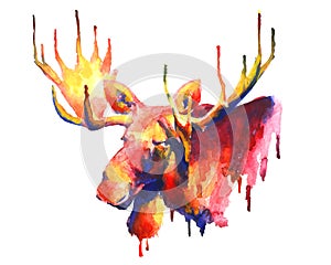 Psychedelic bright watercolor moose drawing