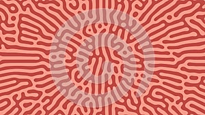 Psychedelic Frantic Radial Pattern Vector Coral Colored Abstract Background