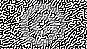 Psychedelic Graphic Crazy Liquid Pattern Vector Black White Abstract Background